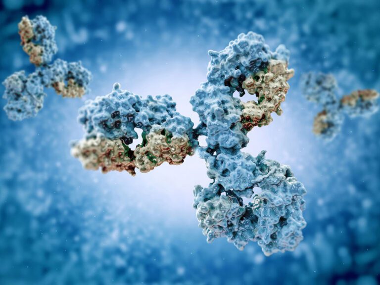 The Multi-Attribute Method (MAM) as a Biologics Lifecycle Backbone