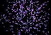 Choice of Excipients Dramatically Affects Antibody Solubility Illustration of a cloud of antibodies.