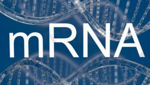 mrna