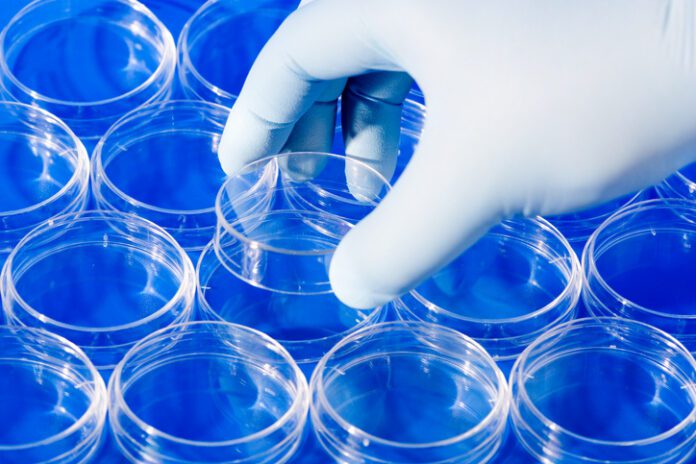 Getty-171225477 Cell culture