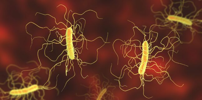 C. difficile