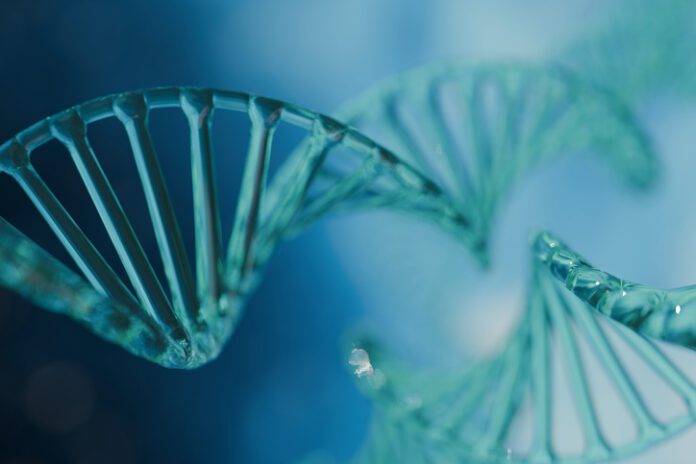 Getty-2177211585 dna