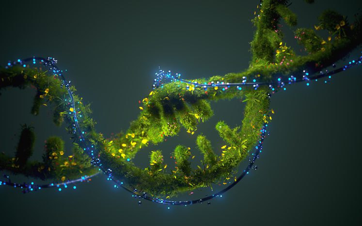 The Kanazawa University experiments revealed how the physical organization of DNA can protect it from degradation.