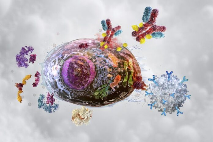 2261205514 Therapies targeting senescent cell, conceptual illustration Therapies targeting senescent cell, conceptual illustration