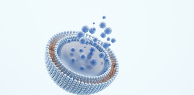 liposome