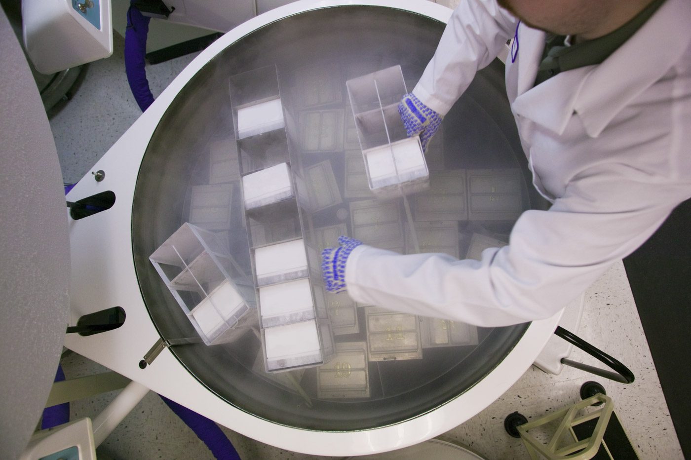 Scientist working on a liquid nitrogen container Scientist working on a liquid nitrogen container