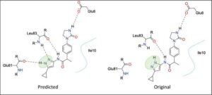 Two panels depict the same molecule, with the original tautomer on the right and the tautomer predicted by the model on the left. The green region shows where the hydrogen position and bonding pattern change, while the dashed lines show hydrogen-bonding interactions with nearby protein residues. [Image courtesy of study author Xiaolin Pan]
