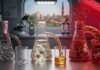 Red Light Supercharges Anti-Obesity Drug Precursor