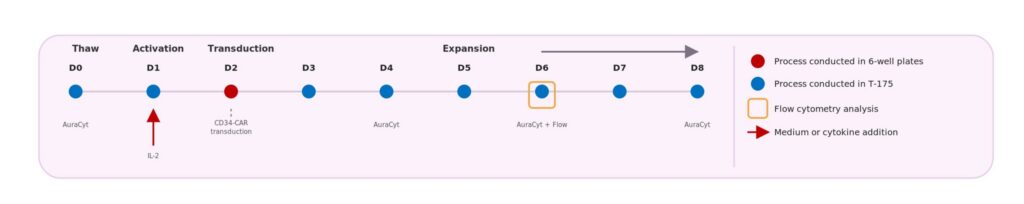 Figure 1. Eight-day CAR-T manufacturing workflow showing activation, transduction, expansion, and analytical assessment timepoints. AuraCyt analysis was performed on Days 0, 4, 6 and 8, while CAR-CD34 expression was confirmed by flow cytometry on Day 6. Non-transduced control cells followed the same process without transduction. [Cytomos]