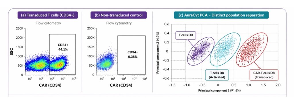 Figure 2. (A) Flow cytometry showing CAR-CD34 expression on Day 6 in transduced T cells and (B) flow cytometry of non-transduced control cells; (C) Predictive cell analytics showing clear separation of non-transduced control cells, activated T cells, and CAR-CD34+ T cells at Day 8. [Cytomos]