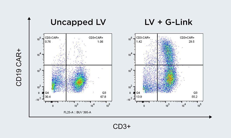Vyriad sponsored content figure 2 Human PBMCs illustration