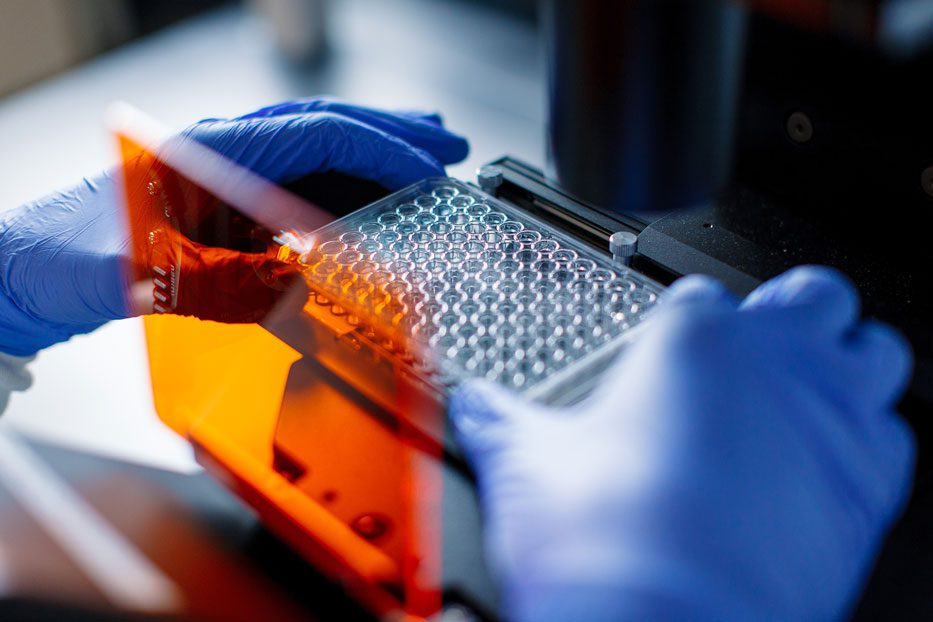 Targeted Lentiviral Delivery Without Vector Reengineering
