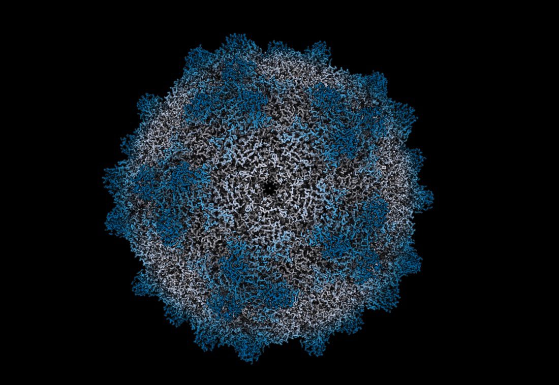 Collaboration and Roadmaps Key to Capsid Accessibility