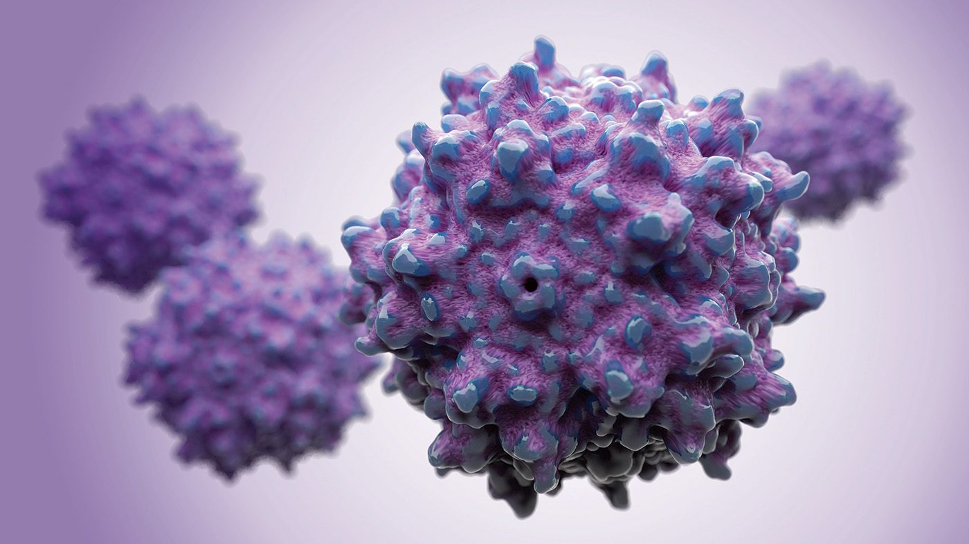 Building the Future of AAV Gene Therapy