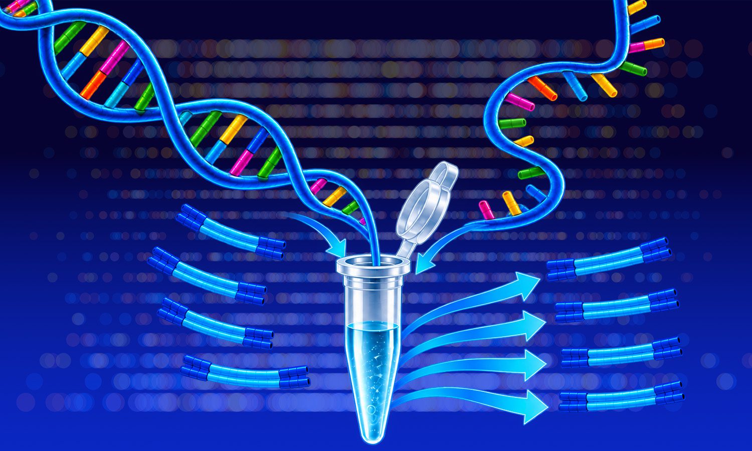 DNA and RNA