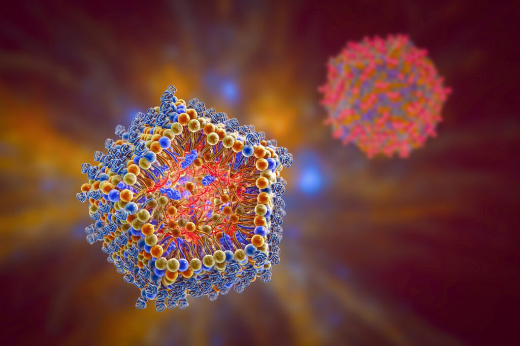 Antiviral siRNA (small interfering ribonucleic acid) lipid nanoparticle drug. Computer illustration showing a cross-section of a lipid nanoparticle carrying antiviral siRNA (orange). Adding different molecules, such as plant lipids (phytosterols), to the nanolipid particle can change its shape and improve the delivery rate of the siRNA. This type of antiviral is being developed for use against COVID-19