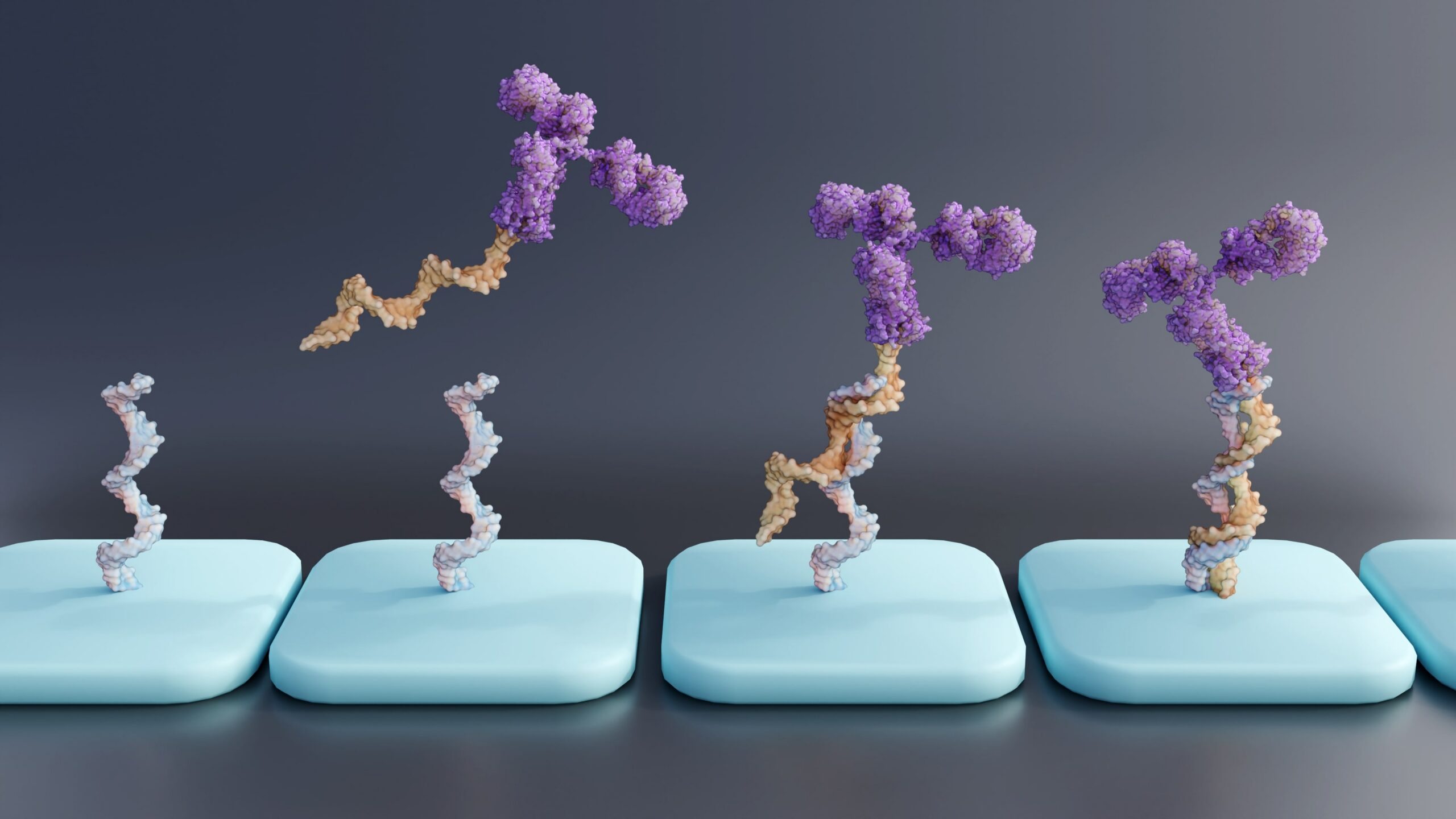 Lock Down the Critical Factors in Oligo and Oligo-Conjugate Characterization with Stunner and Honeybun
