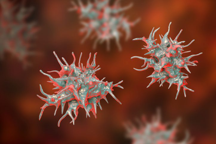 Acanthamoeba