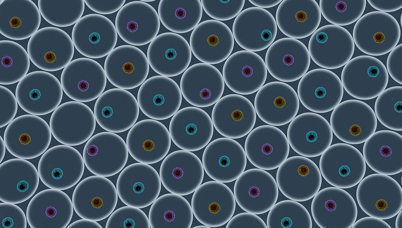 Single cell analysis