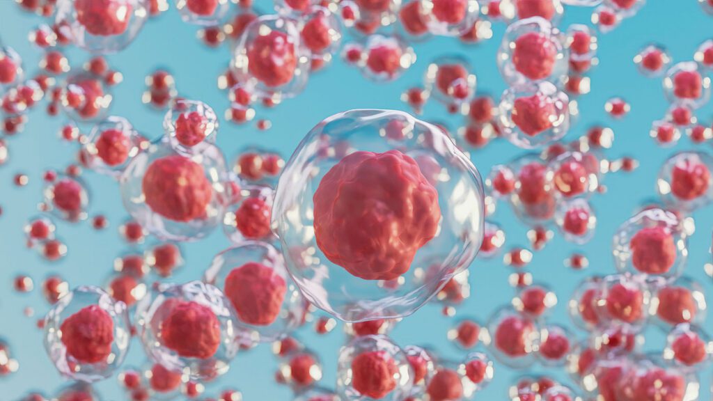 Stem cells