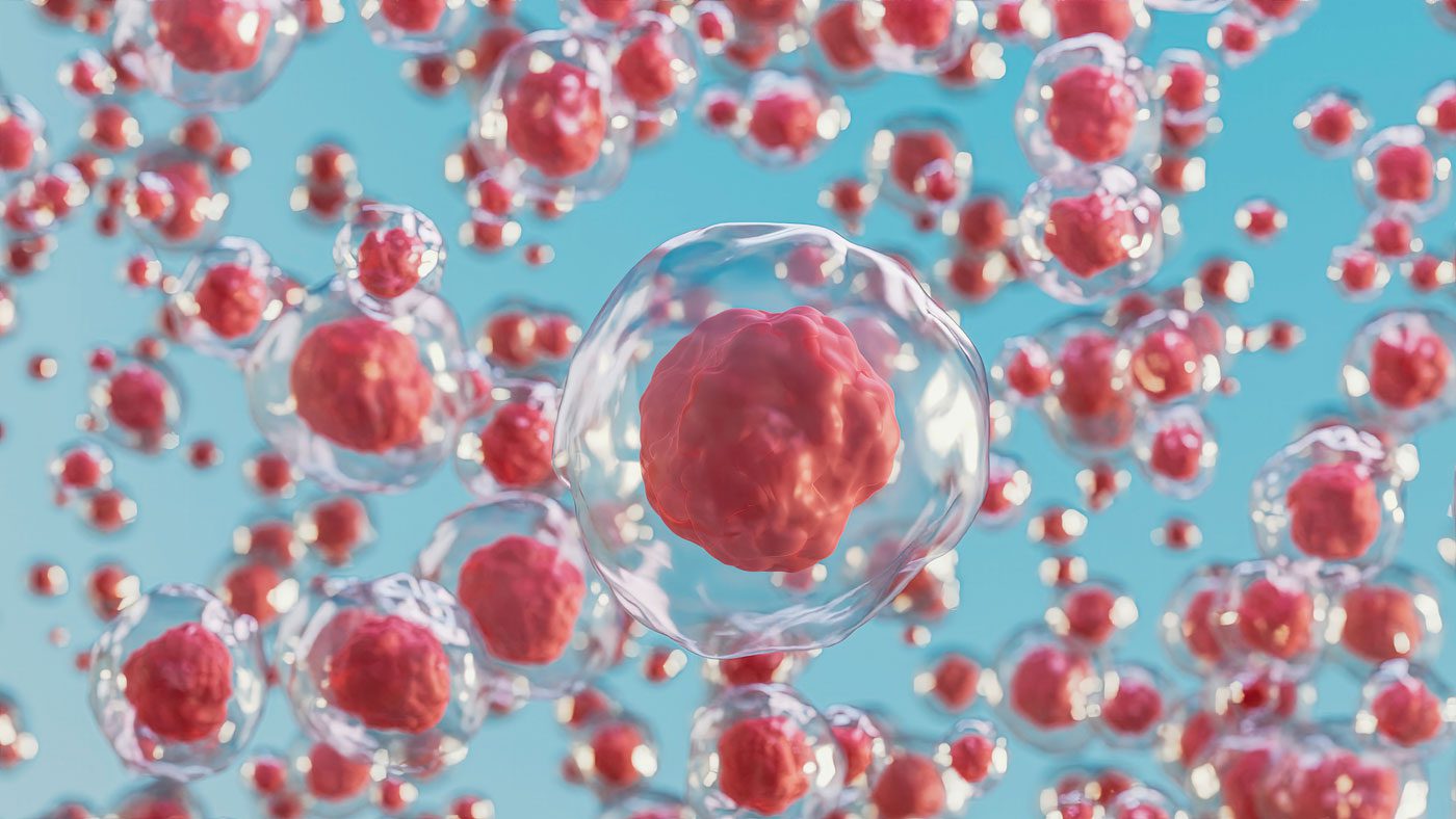 The Organoid Odyssey: A Glimpse Into the Past, Present, and Future of hPSC-Derived 3D Models