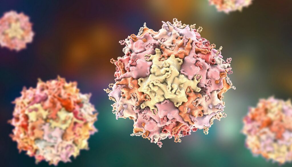 Adeno-associated virus virions, illustration