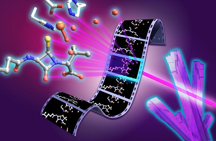 ‘Molecular Movie’ of Penicillin Synthesis Could Inform Future Antibiotic Development