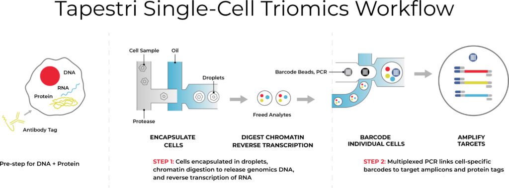 DNA, RNA, and protein workflow