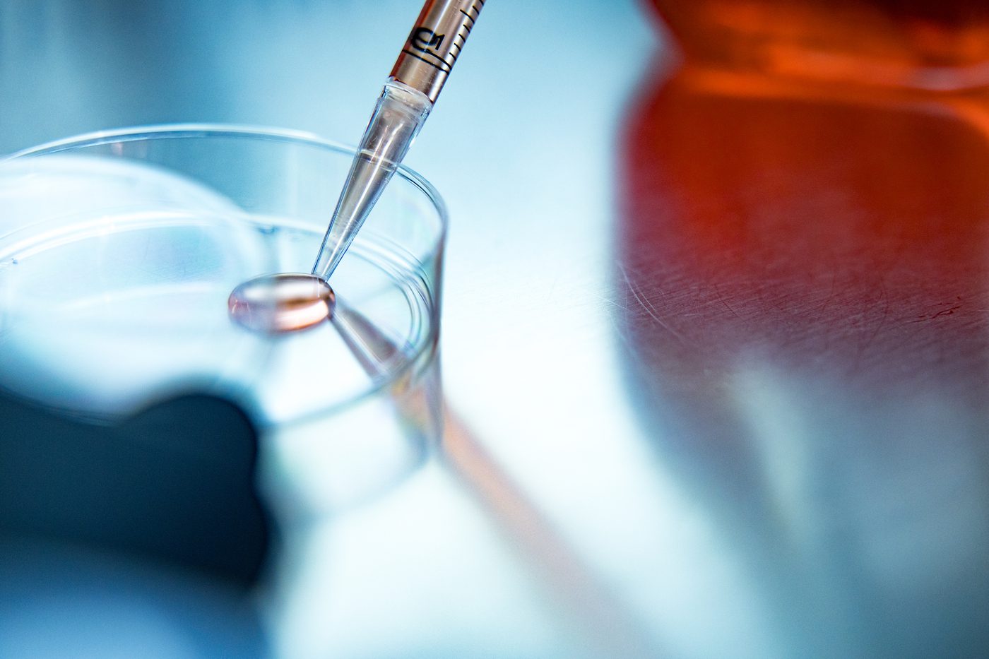 South African Labs Strive for Africa’s Biopharma Sovereignty